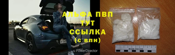 PSILOCYBIN Волоколамск