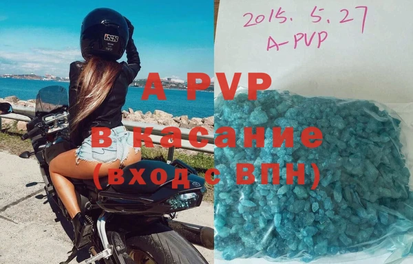 PSILOCYBIN Волоколамск